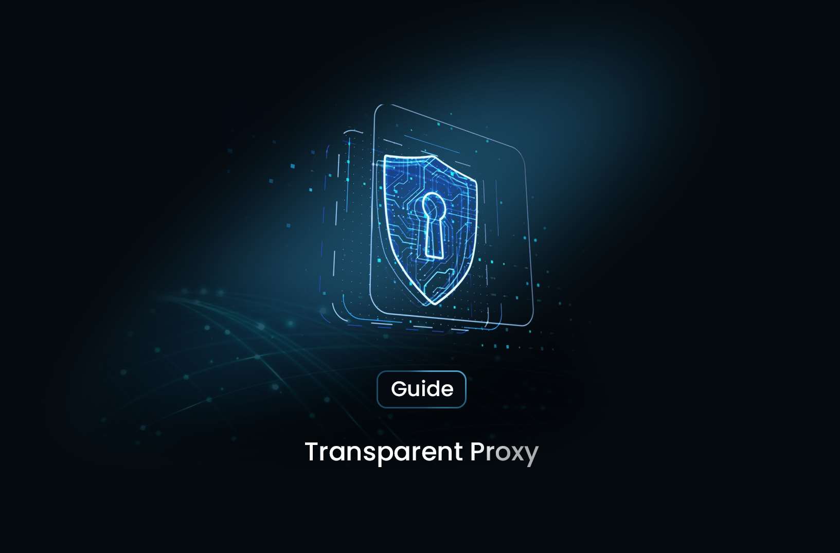 Transparent Proxy: A Technical Guide for Developers
