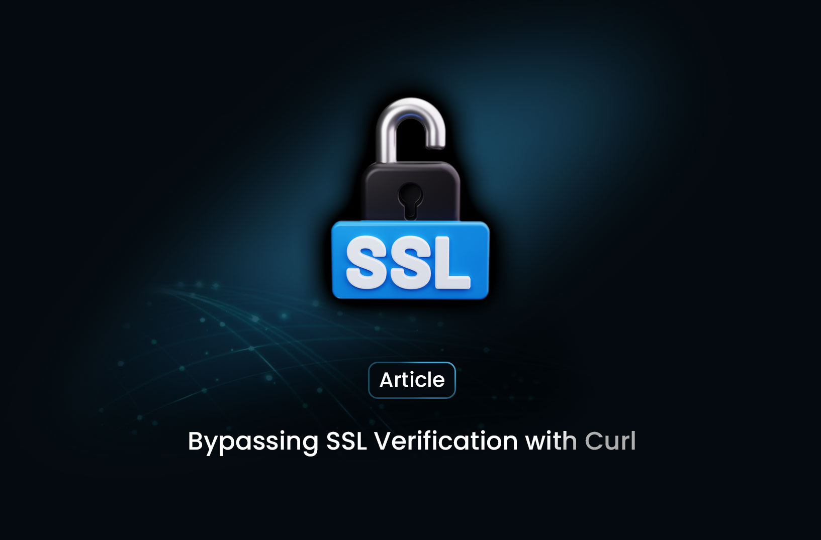 Bypassing SSL Verification with Curl