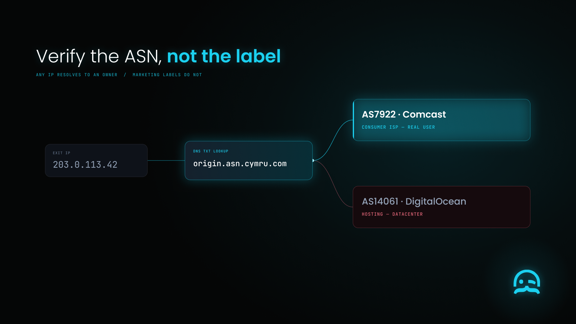 An exit IP resolves through a DNS lookup to either a consumer ISP or a hosting provider.